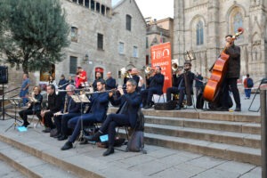 Sardanes a la Catedral: tradició i
