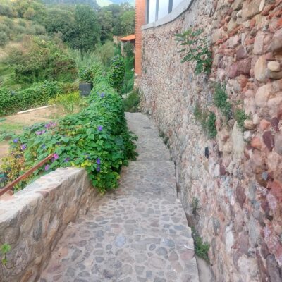 Imatge de WhatsApp 2025-09-27 a les 15.10.21_ec65c3e4