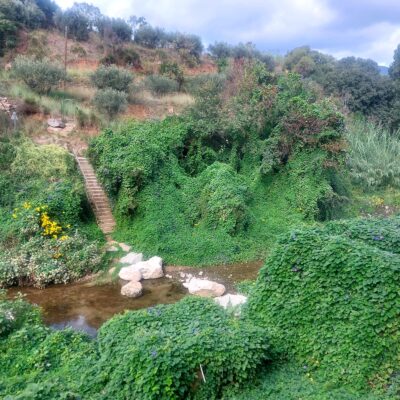 Imatge de WhatsApp 2025-09-27 a les 15.10.22_4845ae6f