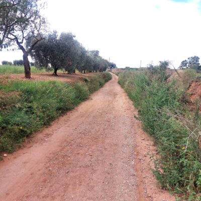 Imatge de WhatsApp 2025-09-27 a les 15.10.28_93c86741