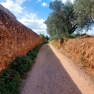 Imatge de WhatsApp 2025-09-27 a les 15.10.35_b184830a