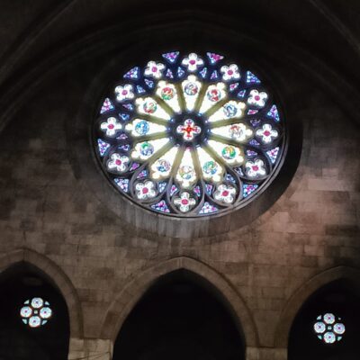 WhatsApp Image 2026-01-17 at 19.16.25 3